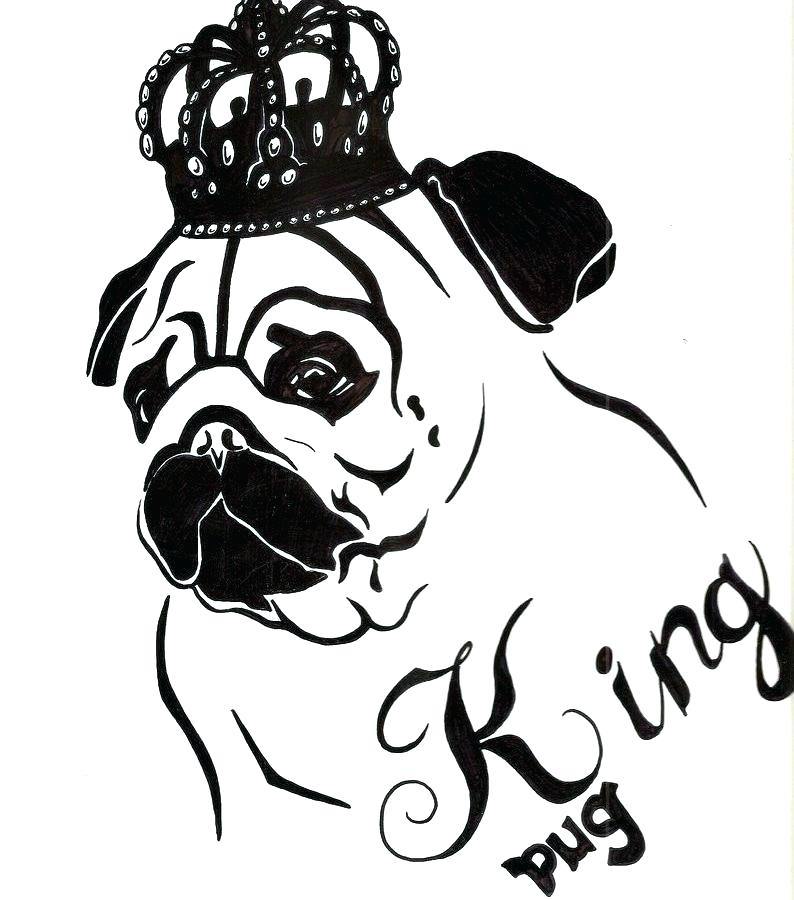 794x900 Pug Coloring Page Pug Coloring Pug Coloring Page Remarkable Pug