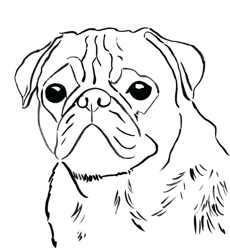 760x831 Pug Coloring Pages Pug Coloring Page Cute Pug Coloring Pages