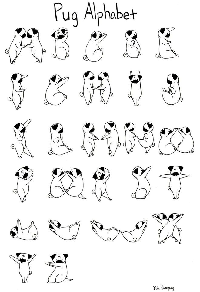 660x965 Pug Coloring Pages To Print Alfareria