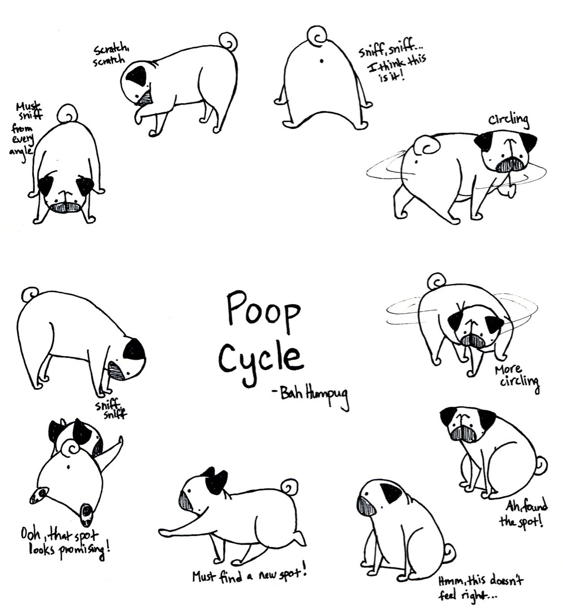 1110x1200 Pug Coloring Page