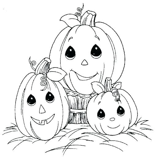505x512 Pumpkin Patch Coloring Pages Squash Coloring Page Squash Coloring