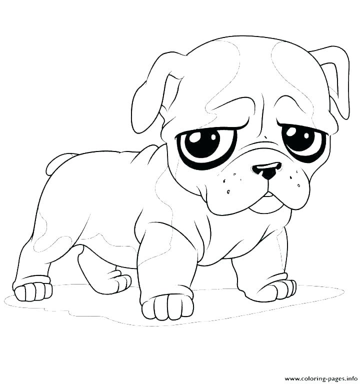 728x768 Puppy Coloring Books Puppy Coloring Pages Puppy Coloring Pages