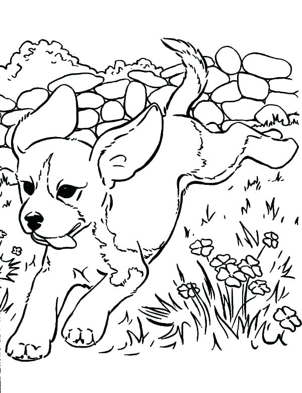600x780 Puppy Coloring Pages Cute Coloring Pages Cute Coloring Pages Free