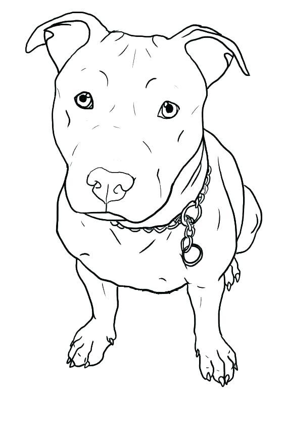 564x846 Baby Puppy Coloring Pages Husky Coloring Pages Husky Coloring