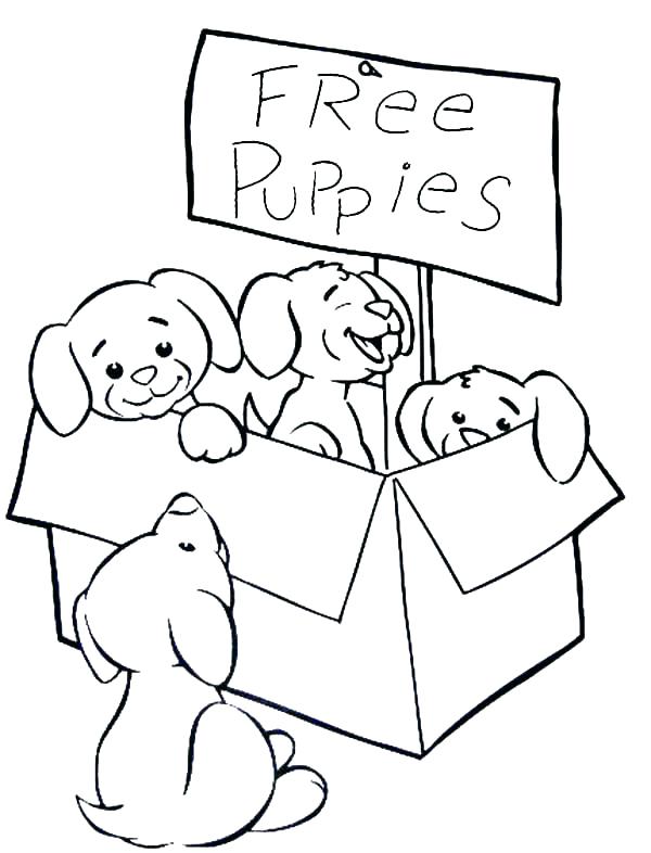 600x786 Coloring Pages Of Puppies Puppies Coloring Page Puppies Coloring