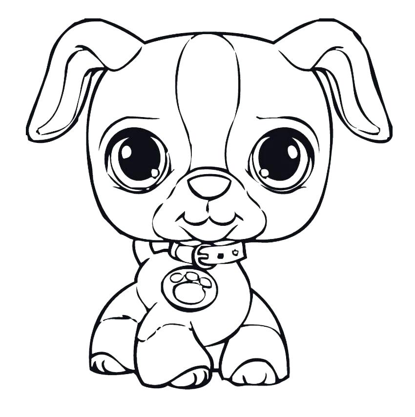 850x855 Coloring Pages Of Puppys Puppy Dog Coloring Page Cute Puppy