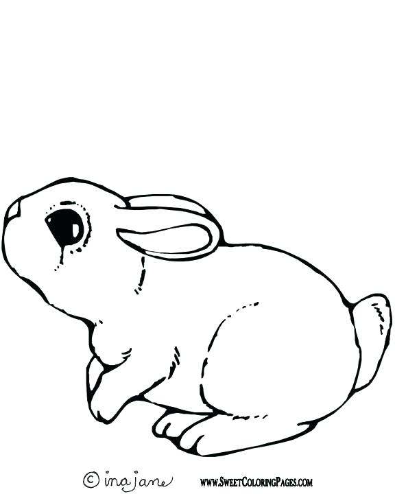 576x720 Bunny Rabbit Coloring Pages
