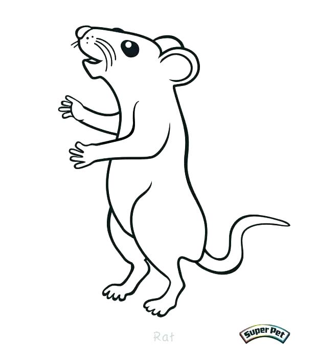 618x699 Rat Coloring Page Rat Colouring Page 2 Rat Coloring Pages