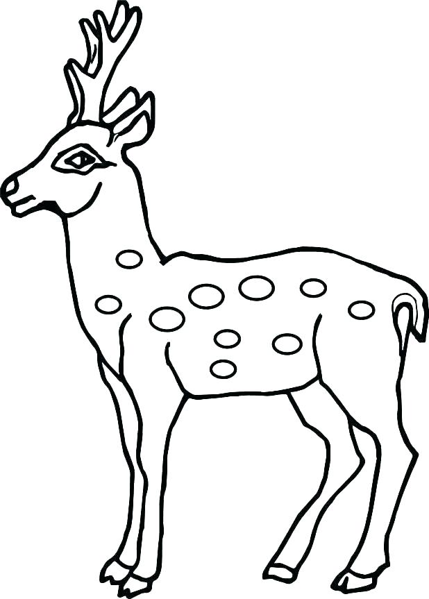 618x863 Reindeer Coloring Page