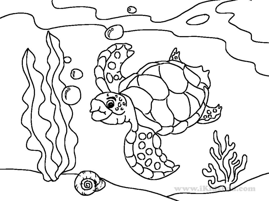 1024x768 Cute Sea Animals Coloring Pages