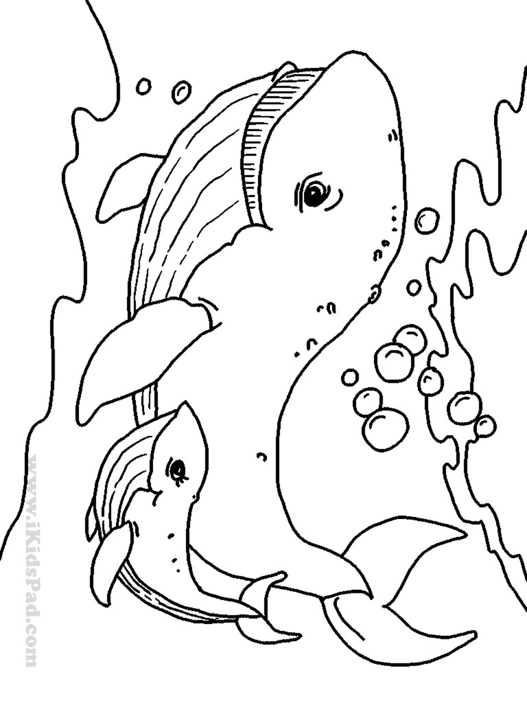 768x1024 Free Printable Sea Animals Coloring Book For Kids Quilts