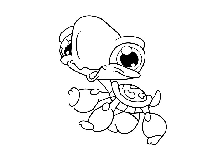 700x500 Cute Turtle Coloring Pages