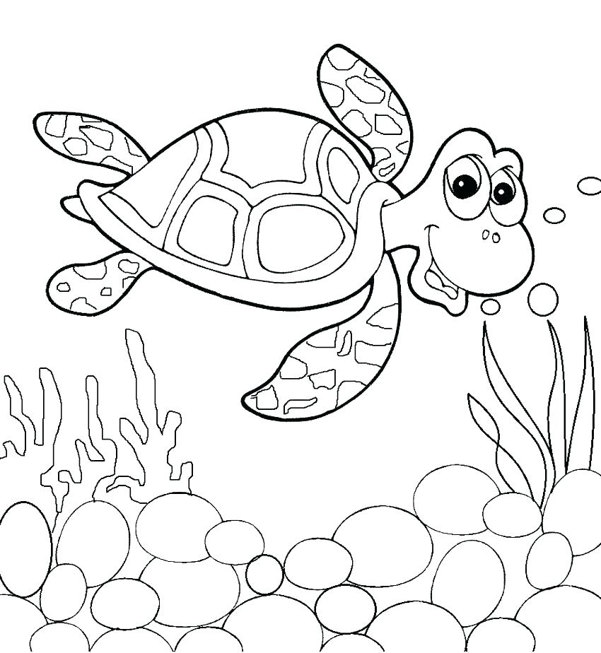 850x924 Sea Turtles Coloring Pages Loggerhead Sea Turtle Coloring Page