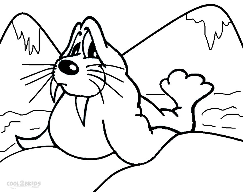 850x671 Printable Walrus Coloring Pages For Kids Cool2bkids