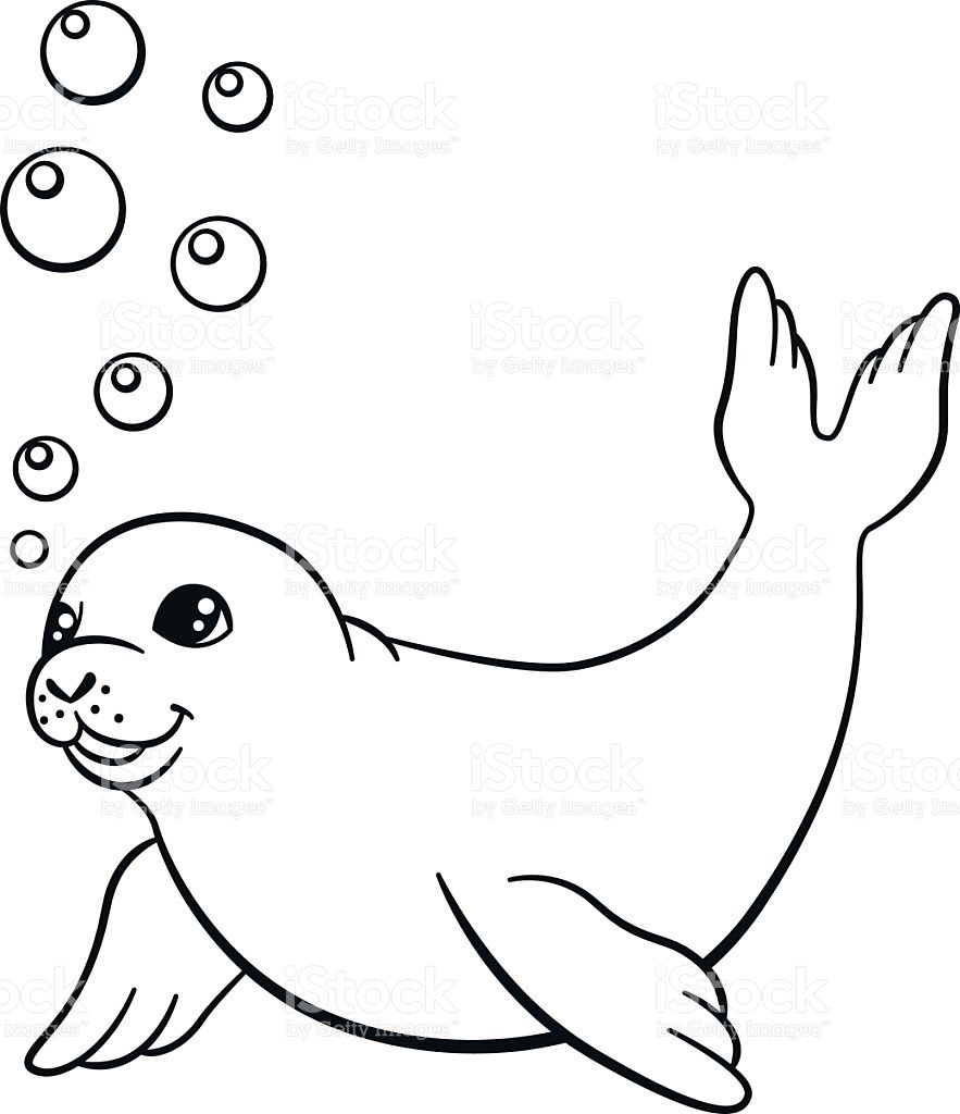 883x1024 Seal Coloring Pages Deeptown Club