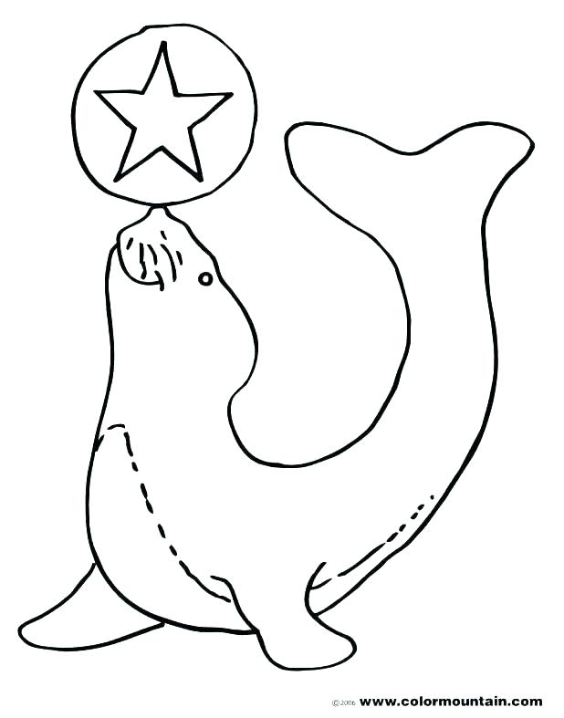 618x787 Coloring Baby Seal Coloring Pages Page Cute Old Navy Harp. Baby