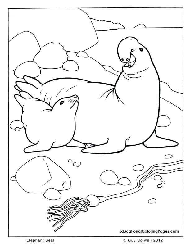 612x792 Coloring Pages Countries Cultures State Seal Free Printable Seal