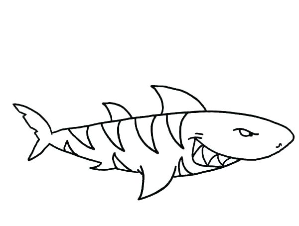 600x454 Sharks Coloring Pages Realistic Great White Shark Coloring Pages