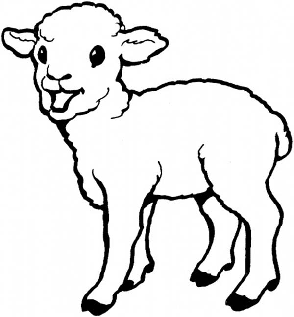 Cute Sheep Coloring Page