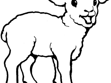 440x330 37 Coloring Page Of Sheep, Cute Sheep Coloring Page