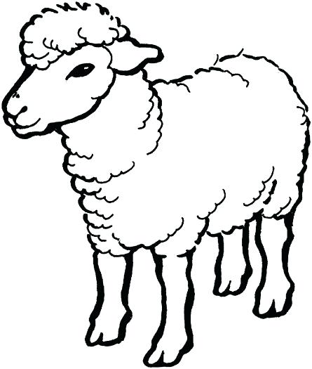 445x525 Sheep Coloring Page Sheep Outline Drawing Coloring Page Sheep