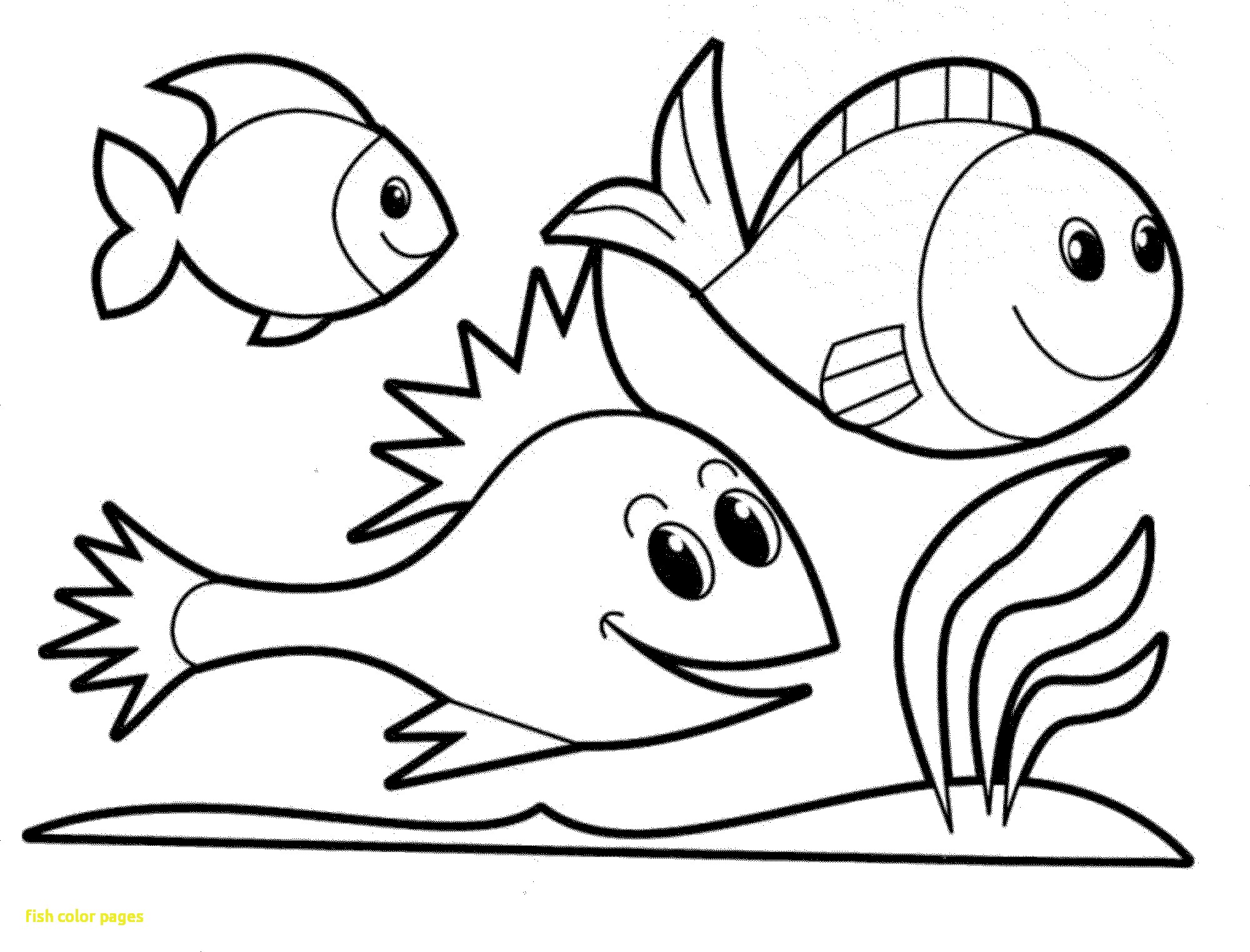 2000x1524 Fish Color Pages With Simple Coloring For Kids Cool Cute