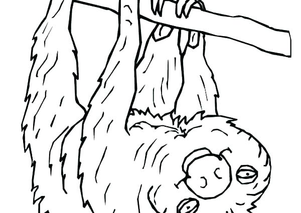 Cute Sloth Coloring Pages