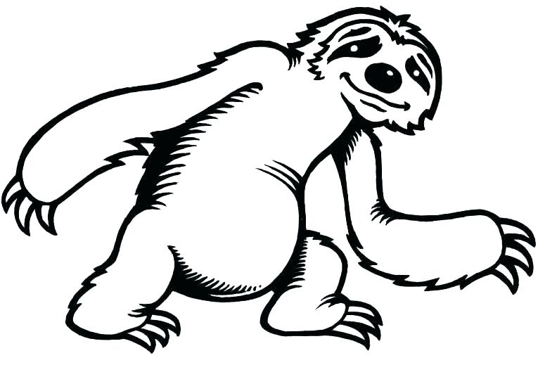 765x519 Sloth Coloring Page Sloth Coloring Page Sloth Coloring Pages Giant
