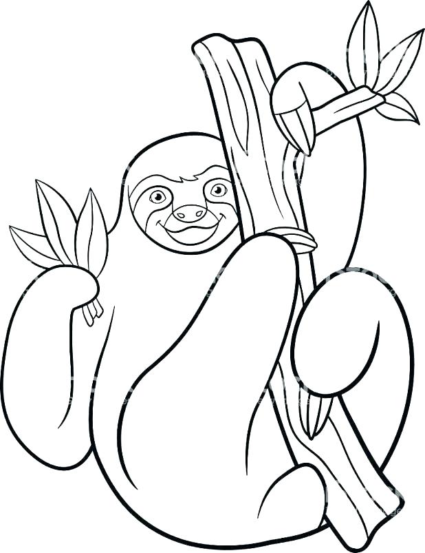 618x803 Sloth Coloring Pages Figure 1 The Three Toed Sloth Sketch By Sloth