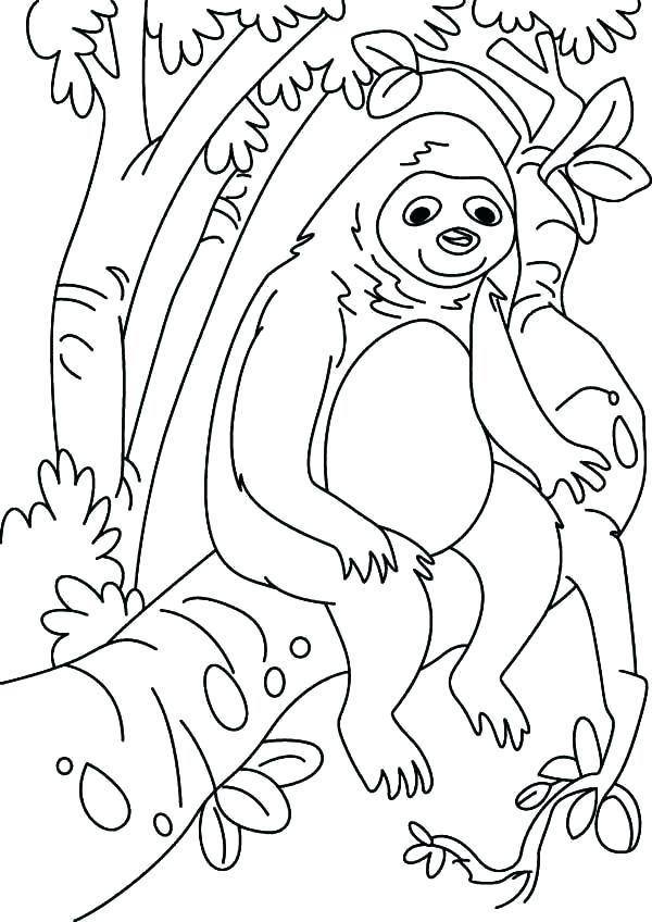 600x848 Sloth Coloring Pages Sloth Coloring Page Absurdly Whimsical Adult