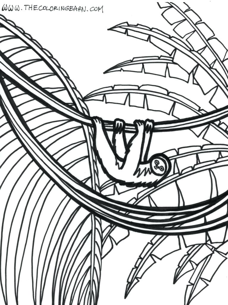 766x1024 Sloth Coloring Pages