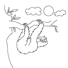 230x230 Top 10 Sloth Coloring Pages For Your Toddler