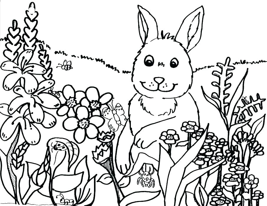 906x700 Free Spring Coloring Pages Cute Spring Coloring Pages Spring