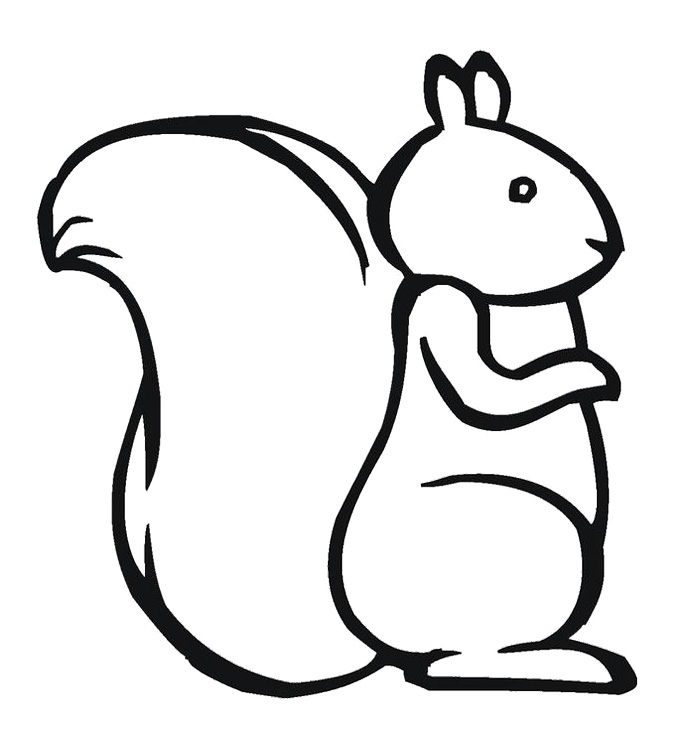 680x743 Scaredy Squirrel Coloring Pages Coloring Page Of A Squirrel Cute