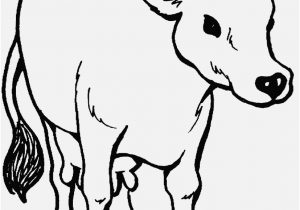 300x210 Squirrel Coloring Page Collection Gallery Cute Squirrel Coloring
