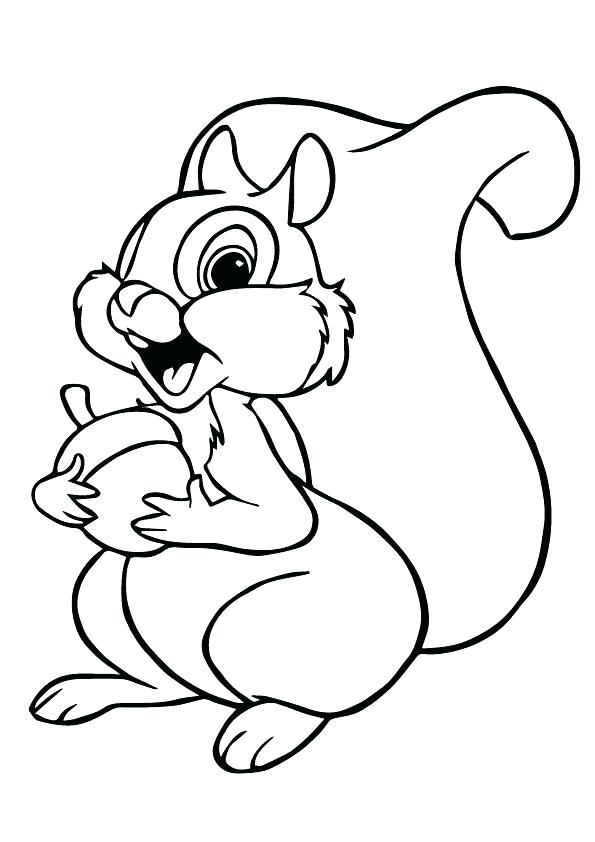 595x842 Coloring Page Squirrel Flying Squirrel Coloring Page Squirrel