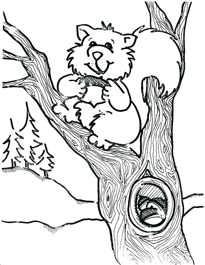 700x906 Flying Squirrel Coloring Page Flying Squirrel Coloring Page Flying