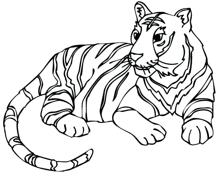 755x600 Tiger Color Pages Tiger Color Pages Luxury Tiger Coloring Page