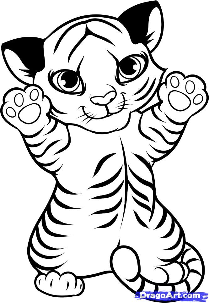666x964 Baby Tiger Coloring Pages Ba Tiger Coloring Pages Printable