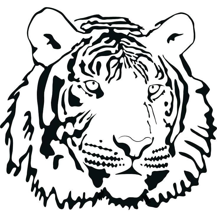 736x736 Coloring Pages Of Tigers Cute Tiger Coloring Pages Tiger Face Big