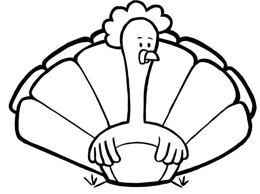 835x624 Baby Turkey Coloring Page Holidaycoloring Pages Of Cute Turkeys