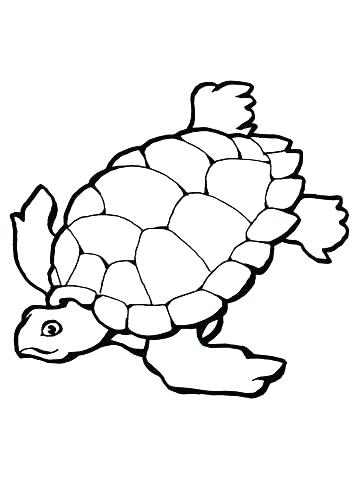 360x480 Coloring Pages Of A Turtle Coloring Pages Turtles Ninja Ninja