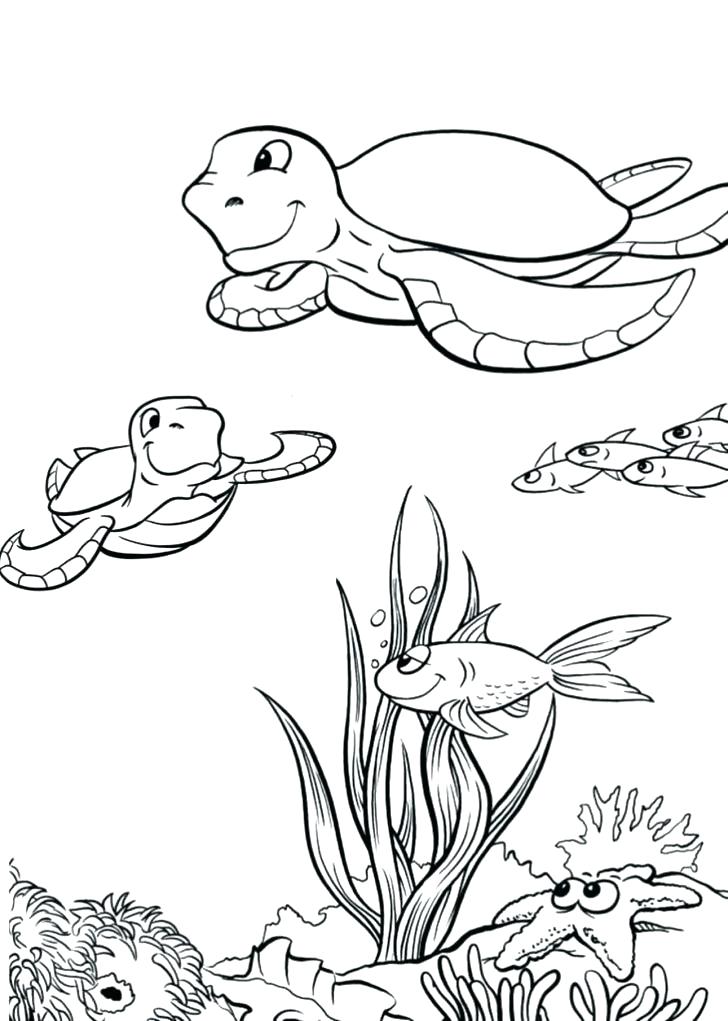 728x1021 Coloring Pages Of Sea Turtles Excellent Sea Turtle Coloring Page