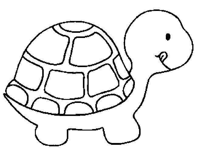 652x504 Coloring Pages. Turtle Coloring Book
