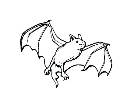 440x330 Halloween Cute Vampire Coloring Pages Bat Preschool Bats Pictures