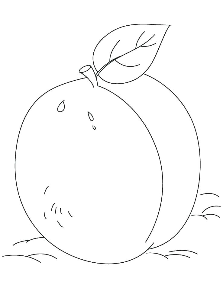 738x954 Watermelon Coloring Page Coloring Pages Watermelon Bite