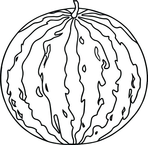 509x500 Watermelon Coloring Pages Watermelon Coloring Page Watermelon