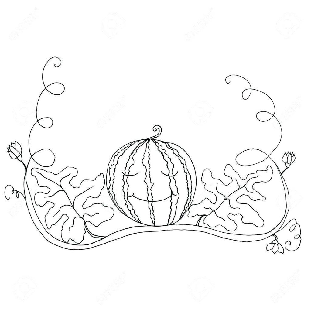 1024x1024 Coloring Pages ~ Watermelon Coloring Page Black White In Foliage