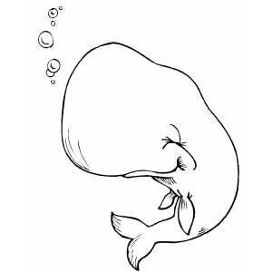 300x300 Cute Whale Coloring Page Under The Sea