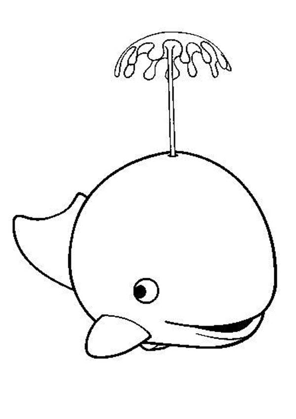 600x849 A Killer Whale Spouting Water Coloring Page